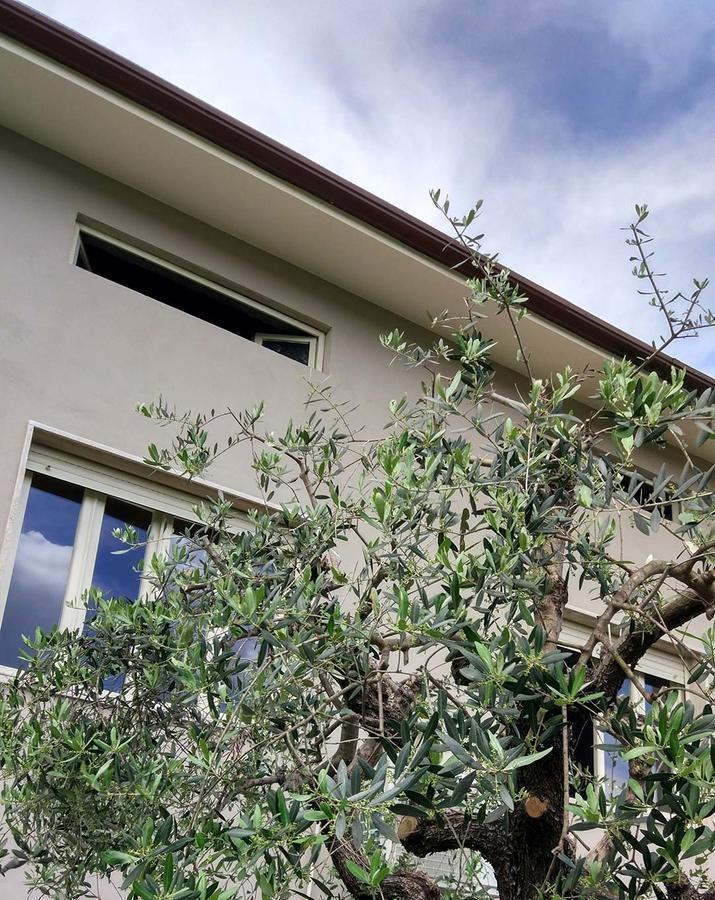 مبيت وإفطار لوكا La Locanda Francigena المظهر الخارجي الصورة